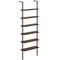 Wall Mounted 6-Tier Ladder Shelf for Books, Plants and Home Organization